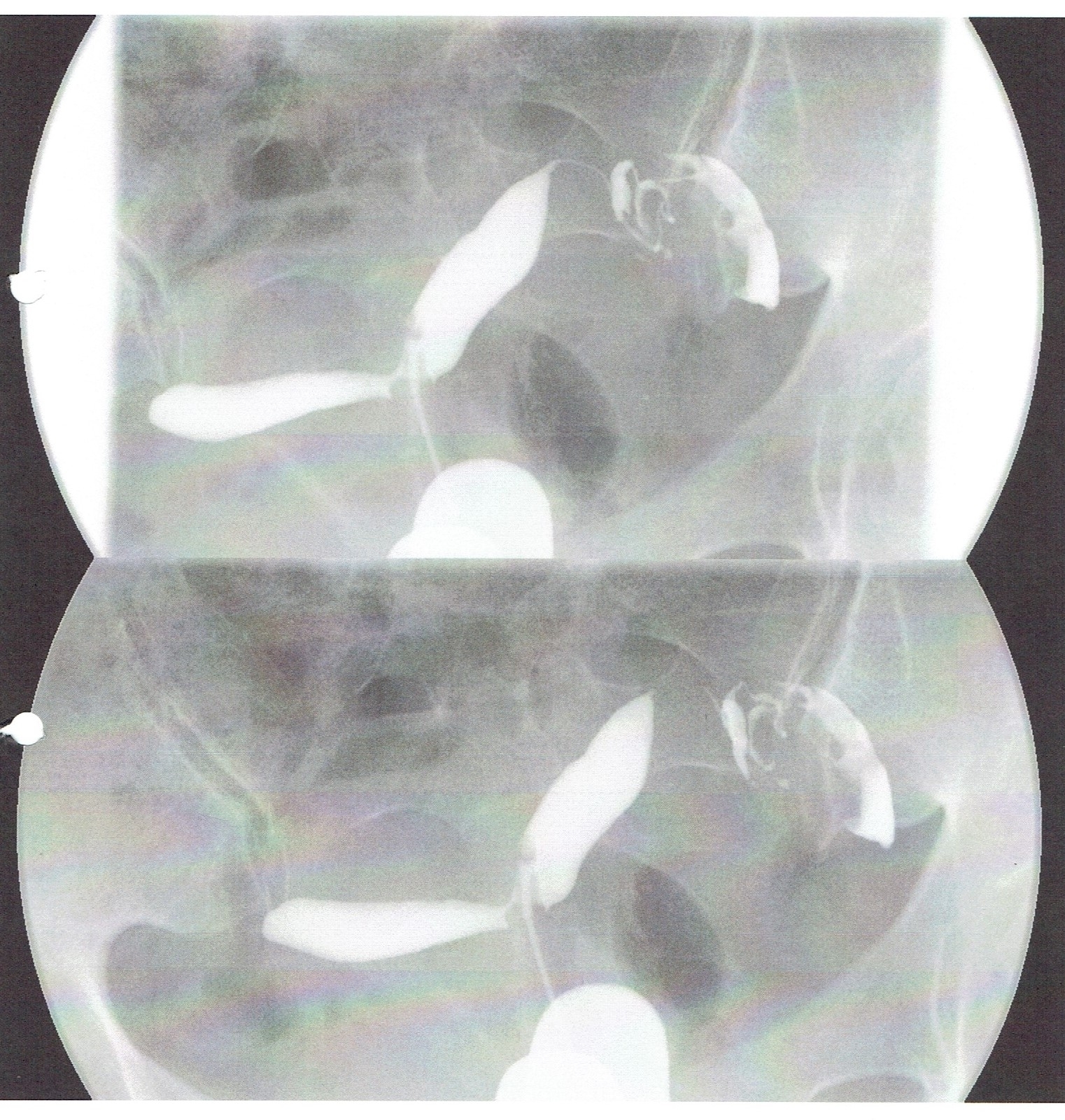 スキャン_20210102 (2)