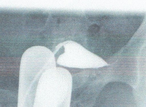 スキャン_20171101 (2)